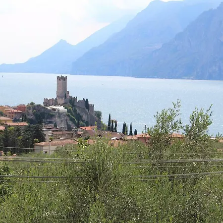 Kormorano *