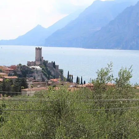 Kormorano *
