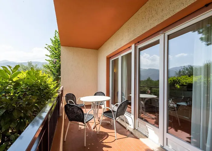 Kormorano * Malcesine