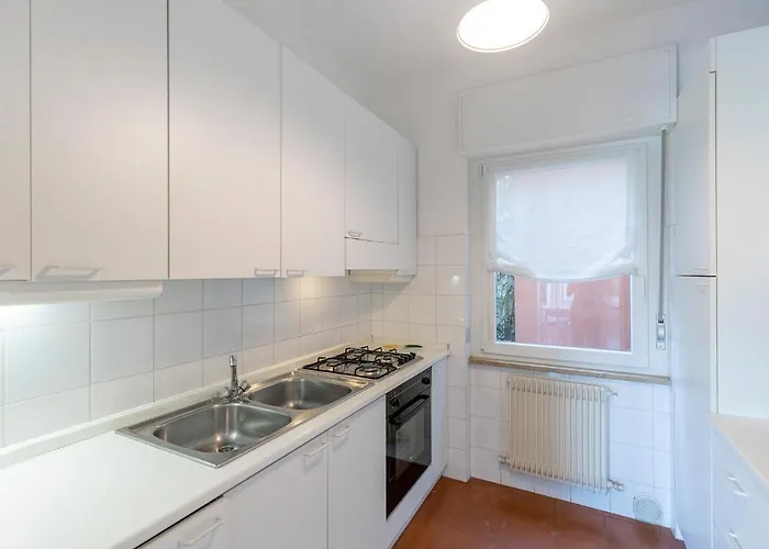 Kormorano * Malcesine