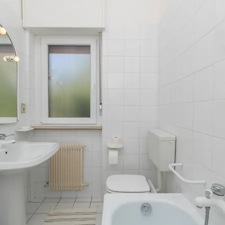 Kormorano * Malcesine