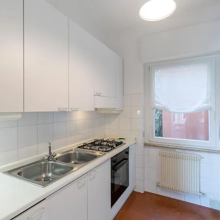 Kormorano * Malcesine